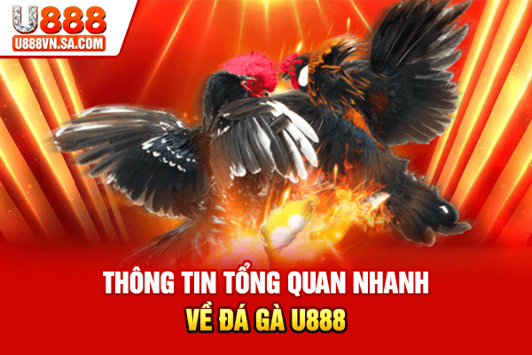 Thông tin tổng quan nhanh về đá gà U888